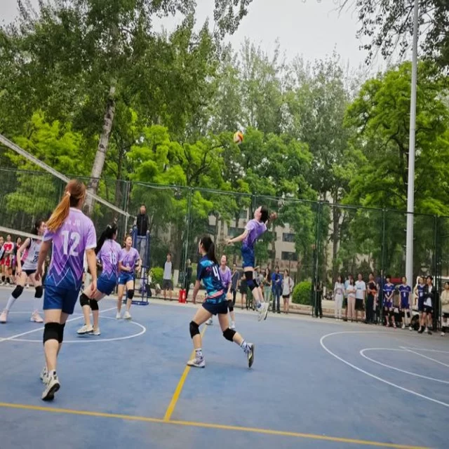 乒乓球冠军竞争格局的独特数据视角分析
